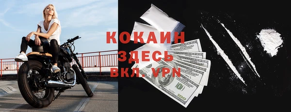 apvp Белокуриха