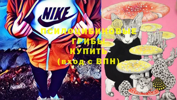apvp Белокуриха