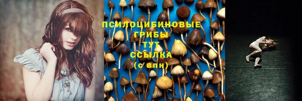 apvp Белокуриха